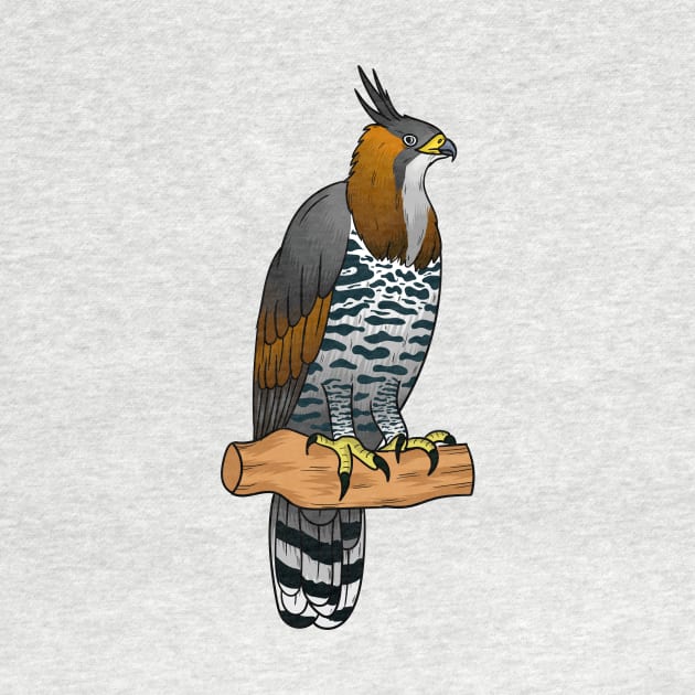 Ornate hawk eagle bird cartoon illustration by Cartoons of fun